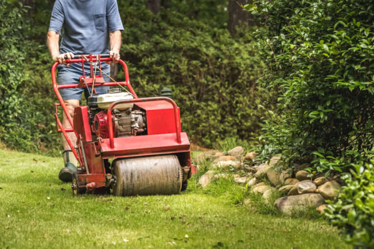 Aeration and Overseeding